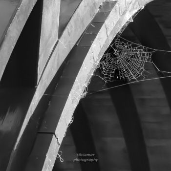 Фотография под названием "Spiderweb" - Silvia Marcoschamer, Подлинное произведение искусства, Цифровая фотография