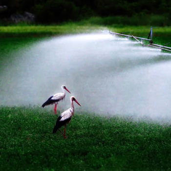 Photography titled "Shower time" by Simon Gaitanidis, Original Artwork, Digital Photography