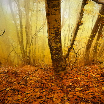 「Fall」というタイトルの写真撮影 Simon Gaitanidisによって, オリジナルのアートワーク, デジタル