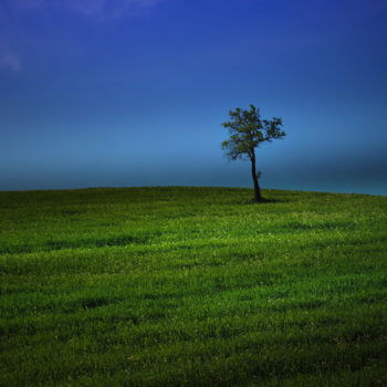 Φωτογραφία με τίτλο "hill" από Simon Gaitanidis, Αυθεντικά έργα τέχνης, Ψηφιακή φωτογραφία