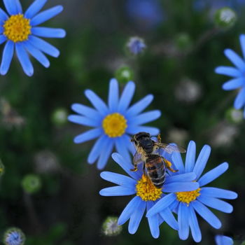 Fotografia zatytułowany „Taste” autorstwa Simon Gaitanidis, Oryginalna praca, Fotografia cyfrowa