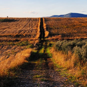 Photography titled "The path" by Simon Gaitanidis, Original Artwork, Digital Photography