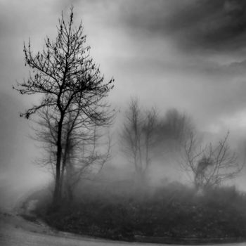 Photography titled "foggy forest" by Simon Gaitanidis, Original Artwork, Digital Photography