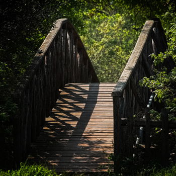 Photographie intitulée "forest bridge" par Simon Gaitanidis, Œuvre d'art originale, Photographie numérique