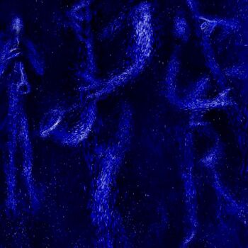 Grafika cyfrowa / sztuka generowana cyfrowo zatytułowany „blue jazz 2” autorstwa Simon Taylor, Oryginalna praca, Malarstwo c…