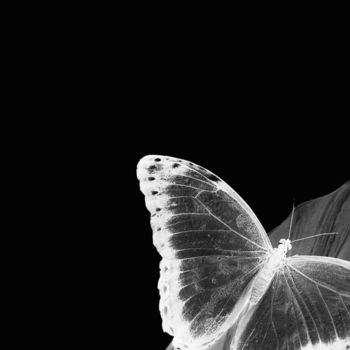 Digital Arts titled "Le papillon blanc" by Maria Iacuzzi (SIMPLE ART), Original Artwork, Digital Painting