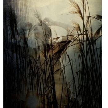 Fotografie mit dem Titel "Sugar Cane Alley" von Sinden Collier, Original-Kunstwerk, Analog Fotografie