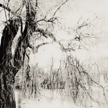 Photography titled "L’Arbre du Lac (The…" by Sinden Collier, Original Artwork, Analog photography
