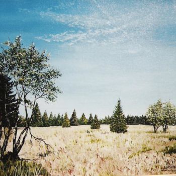 Peinture intitulée "Les Fagnes St-Hubert" par Lark Sindia, Œuvre d'art originale