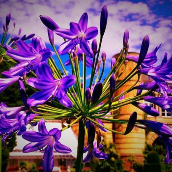 Fotografia zatytułowany „im park” autorstwa Sigrun Neumann (Sineu), Oryginalna praca