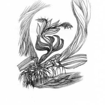 Dibujo titulada "illustration Djamal…" por Sigrun Neumann (Sineu), Obra de arte original