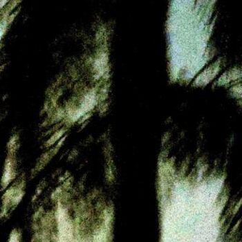 Fotografía titulada "palmtree in the nig…" por Sigrun Neumann (Sineu), Obra de arte original