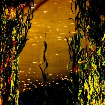 Photography titled "spiegelung ...." by Sigrun Neumann (Sineu), Original Artwork