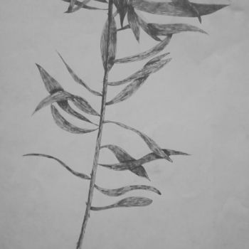 Drawing titled "Art Flower" by Siviwe Honobroke Mashiyi, Original Artwork, Gel pen