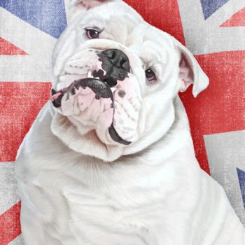 Schilderij getiteld "British Bulldog" door Tina-Marie Appleby, Origineel Kunstwerk, Pastel
