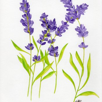 Painting titled "lavender" by Christina Desousa, Original Artwork, Watercolor