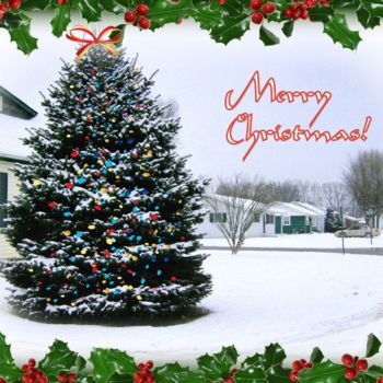 Photography titled "Merry Christmas Tree" by Skyler, Original Artwork