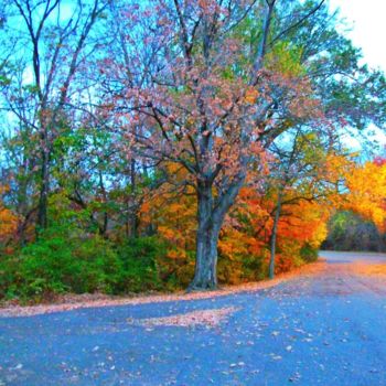 "Beautiful Fall Drive" başlıklı Fotoğraf Skyler tarafından, Orijinal sanat