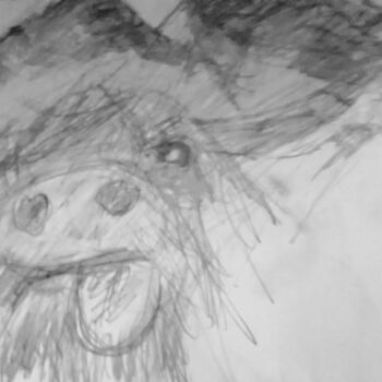 Dessin intitulée "Highland Buffalo" par Skylor Timeless, Œuvre d'art originale, Crayon