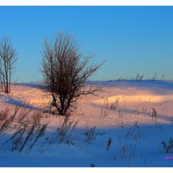 Photographie intitulée "Зимний вечер!" par Viacheslav Bakaev, Œuvre d'art originale