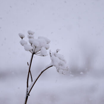 Photographie intitulée "Winter magic" par Slydesign, Œuvre d'art originale, Photographie numérique