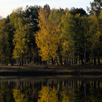 Fotografie mit dem Titel "Splendor of autumn" von Slydesign, Original-Kunstwerk, Digitale Fotografie