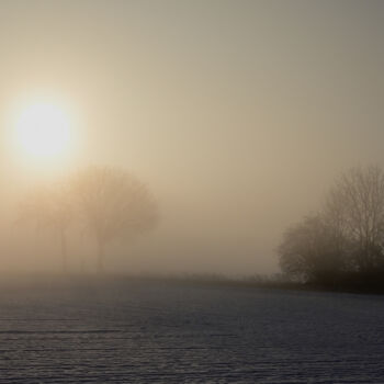 Photography titled "Sunshine in the fog" by Slydesign, Original Artwork, Digital Photography