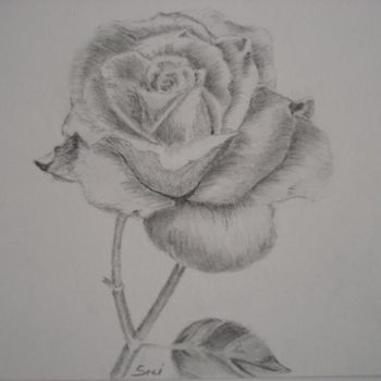 Painting titled "Rose" by Salzitsa Milanova, Original Artwork