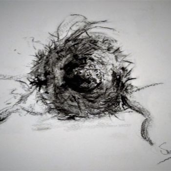 图画 标题为“Abandon birdnest II” 由Benny Smet, 原创艺术品, 木炭
