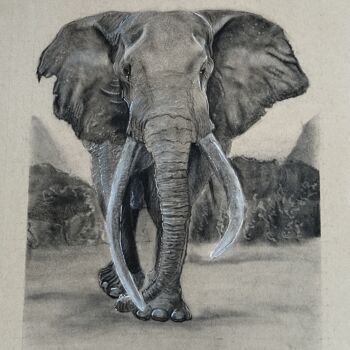 Drawing titled "Tusks" by Sneha Lobo, Original Artwork, Charcoal
