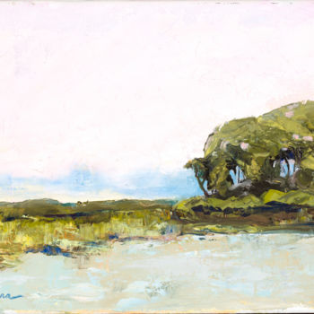 Pintura intitulada "Hog Island" por Susan Nichols Ferrara, Obras de arte originais, Outro