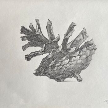 Dessin intitulée "Pinecone" par Sofiia Kulichkova (Sonjakul), Œuvre d'art originale, Crayon