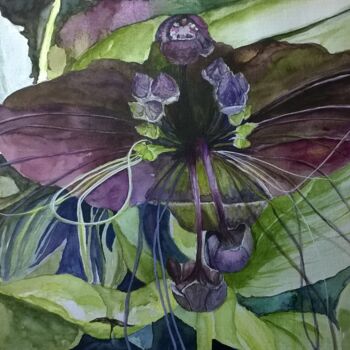 Peinture intitulée "Flor Morcego - Fior…" par Solange Esposito (SEsposito), Œuvre d'art originale