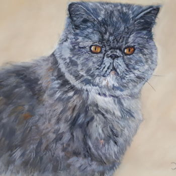 Pintura intitulada "Portrait de chat" por Sol.Art, Obras de arte originais, Pastel