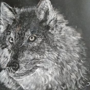 Drawing titled "Loup" by Sol.Art, Original Artwork, Chalk