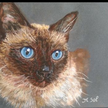 Painting titled "Portrait sur  comma…" by Sol.Art, Original Artwork, Pastel Mounted on Other rigid panel