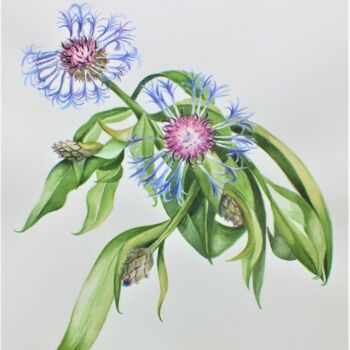 "" Centaurée "" başlıklı Tablo Solveig Gnéma-Richard tarafından, Orijinal sanat, Suluboya