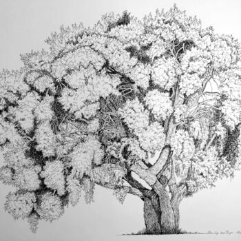 Desenho intitulada "Chêne-liège" por Luis Margallo, Obras de arte originais, Tinta