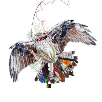 Arts numériques intitulée "Aigle de Poubelli" par Sonia Martin, Œuvre d'art originale, Photo montage Monté sur Panneau de bo…