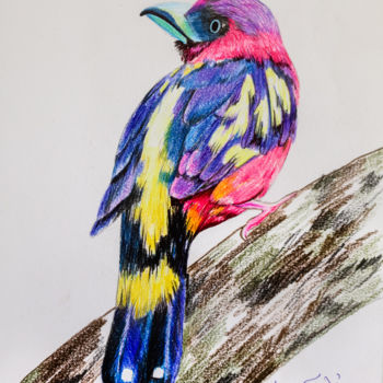 Рисунок под названием "Birds Series 1" - Soma Sen, Подлинное произведение искусства, Карандаш