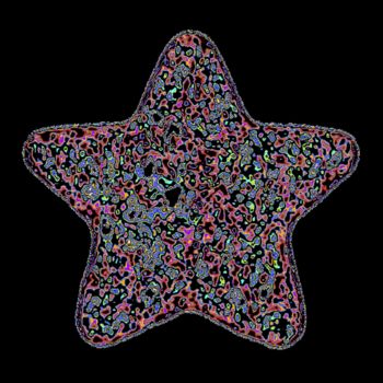 Digital Arts titled "Star Biscuit" by Sophie Beckett, Original Artwork, 2D Digital Work