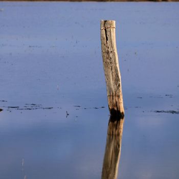 Photographie intitulée "Seul" par Sophie Hove, Œuvre d'art originale