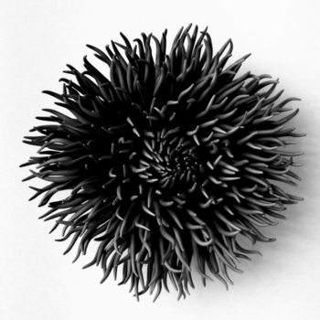 Скульптура под названием "Ubuntu Noire variat…" - Sophie Manessiez, Подлинное произведение искусства, Керамика