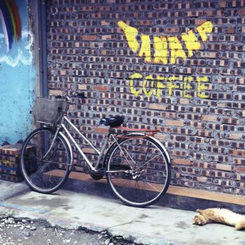 Photography titled "Vietnam Cat" by Sophie Renault, Original Artwork, Analog photography