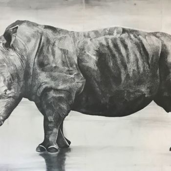 Drawing titled "Portrait Rhinocéros" by Sophie La Loggia, Original Artwork, Graphite