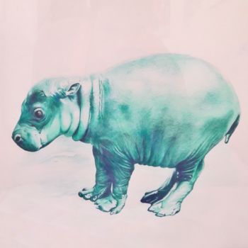 图画 标题为“Portrait Hippopotame” 由Sophie La Loggia, 原创艺术品, 铅笔