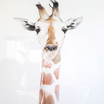 Desenho intitulada "giraffe.jpeg" por Sophie La Loggia, Obras de arte originais, Lápis