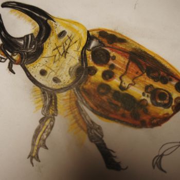 Dibujo titulada "Rhinoceros Beetle" por Sophie Polfliet, Obra de arte original