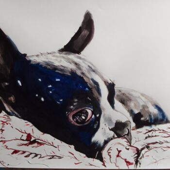 Pittura intitolato "BosstonTerrier puppy" da Sosokumsiashvili, Opera d'arte originale, Acrilico