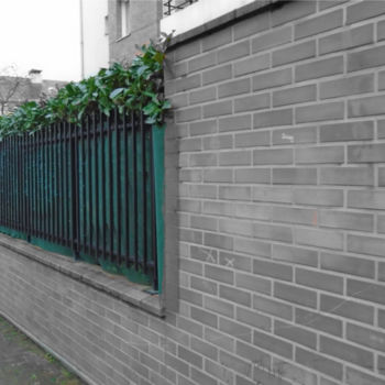 "green wall color sp…" başlıklı Fotoğraf Splash tarafından, Orijinal sanat